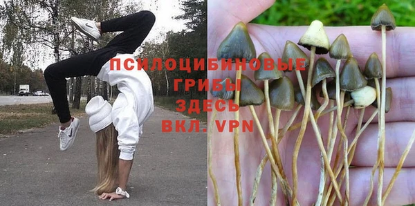 соль курить ск Пестово