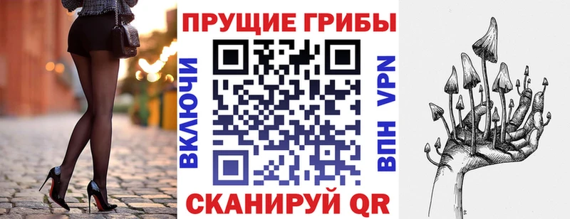 где продают   Краснознаменск  shop формула  Псилоцибиновые грибы GOLDEN TEACHER 